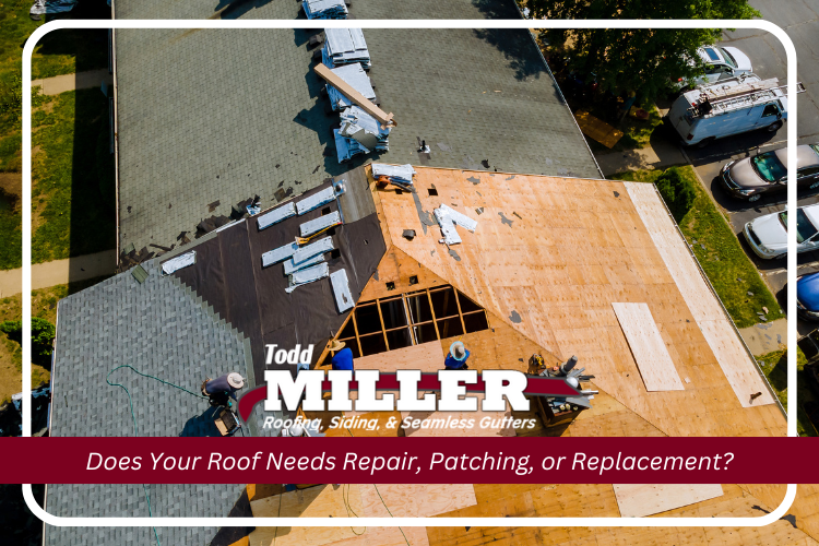 roofers rintalling new asphalt roofing shingles in easton, pa