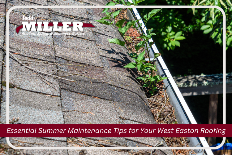 Essential Summer Maintenance Tips for Your West Easton Roofing