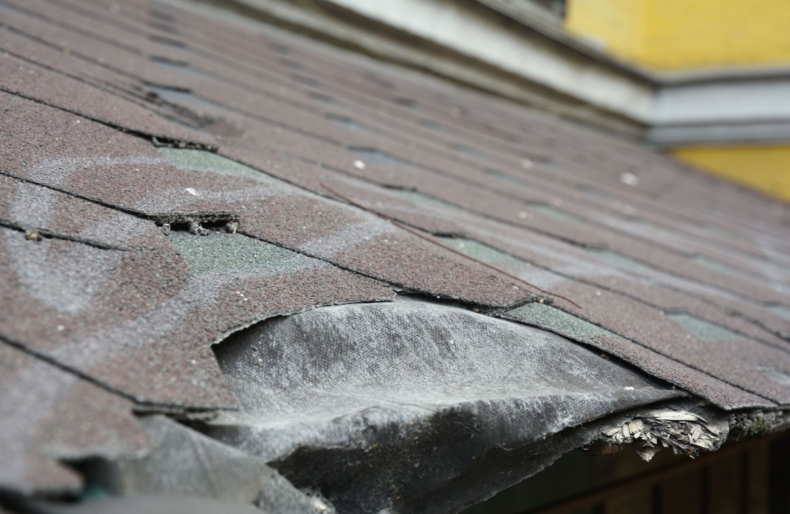 Todd Miller Roofing, Siding, and Seamless Gutters Images
