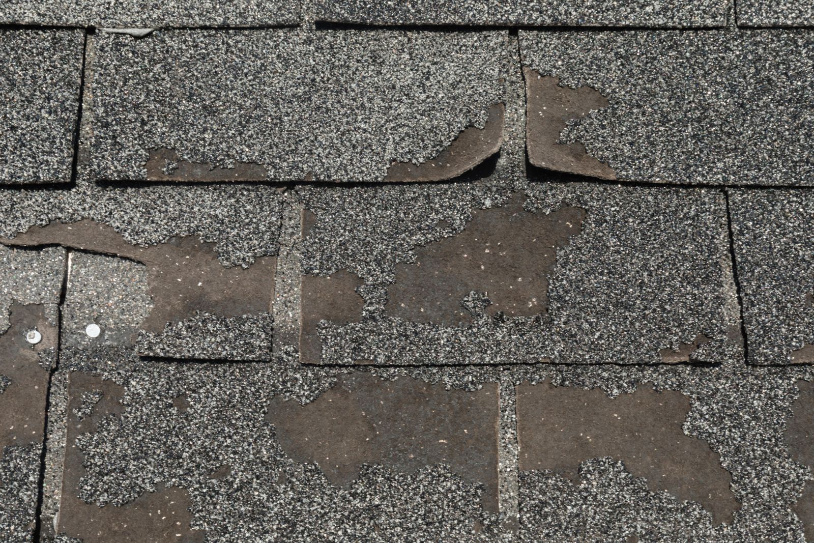 Todd Miller Roofing, Siding, and Seamless Gutters Images