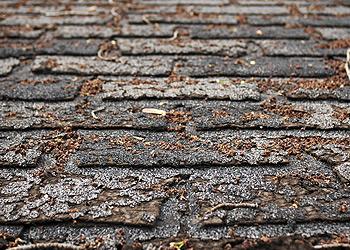 Todd Miller Roofing Siding & Remodeling Images